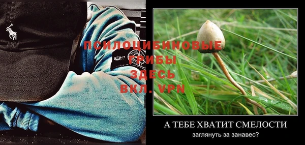 марки nbome Белокуриха